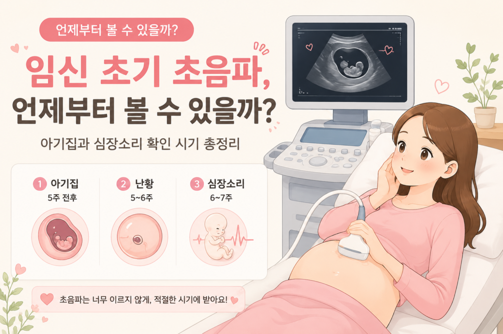 임신 초기 초음파 아기집 확인 시기