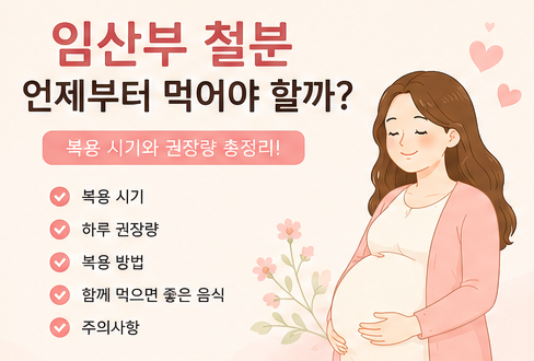 임산부 철분 복용 시기 5가지! 언제부터 얼마나 먹어야 할까?