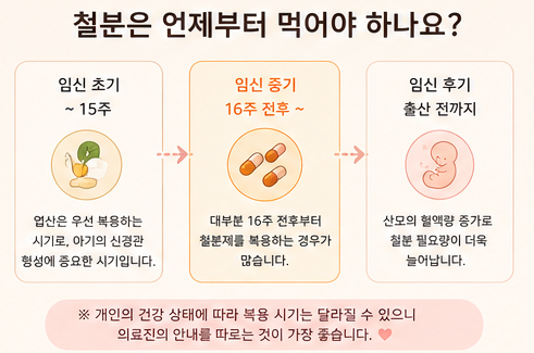 언제부터 먹어야 하나요?