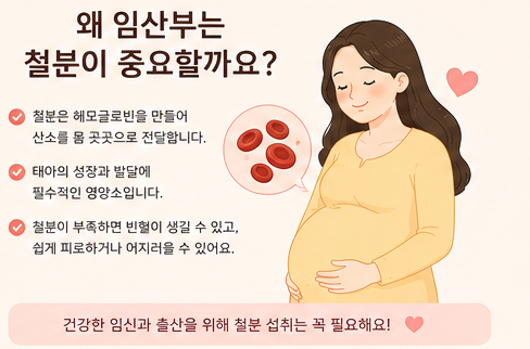 철분이 왜 중요 할까요?