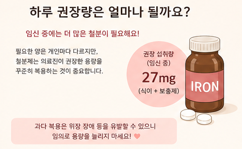 하루 권장량은 얼마나 될까요?