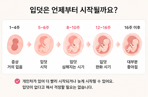 입덧은 언제부터 시작 될까요?