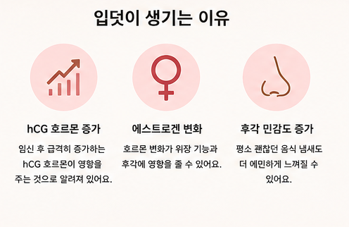 입덧이 생기는 이유