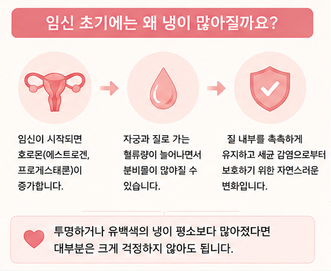 임신 초기에는 왜 냉이 많아 질까요?