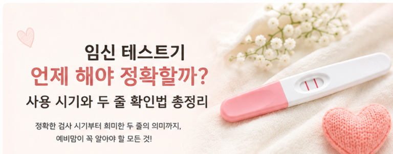 임신 테스트기 언제 해야 정확할까? 사용 시기와 두 줄 확인법 총정리