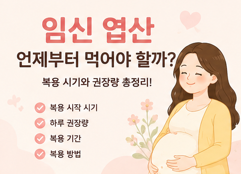 임신 엽산 언제부터 먹어야 할까? 복용 시기와 권장량 총정리