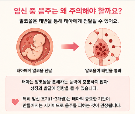 임신 중 음주는 왜 주의해야 할까요?